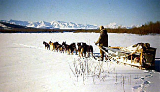 Photo of Bob Buzby and dog sled team